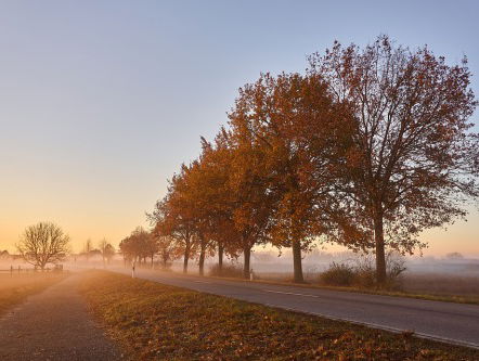 Dankbaar voor het leven!