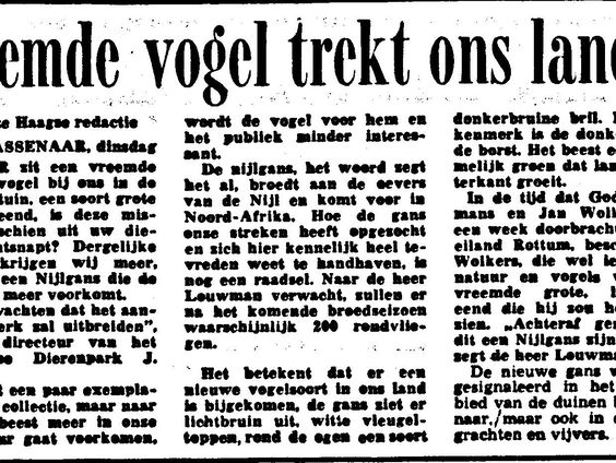 Wie is die Vreemde Vogel die in 1973 steeds vaker rondvliegt?