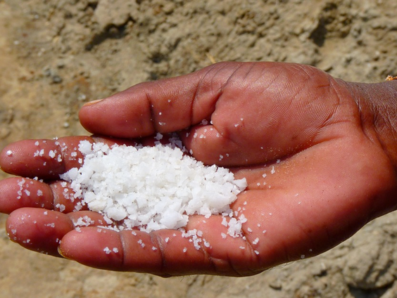 De mens als zout der aarde!