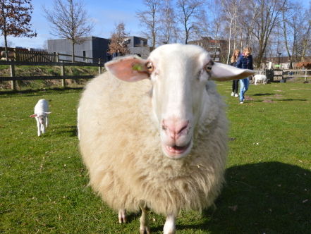 Gesprek met Jeroen Uitham