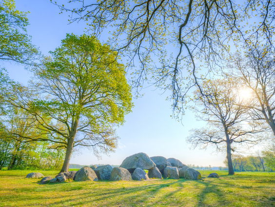 Een hunebed in je achtertuin