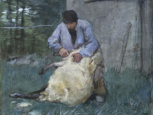 Wie wil je schapenwol nog hebben?