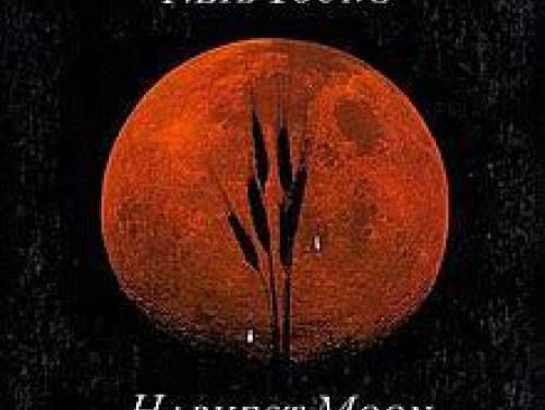 Harvest Moon - Neil Young