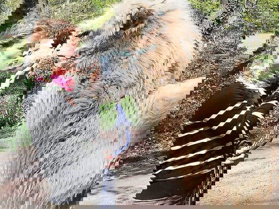 Het lijkt mij heel gaaf om met Einstein over het strand te wandelen