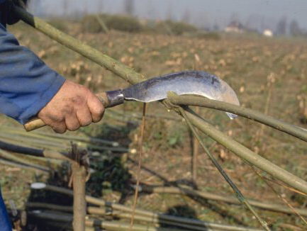 Rietsnijder over uitstervende beroepen