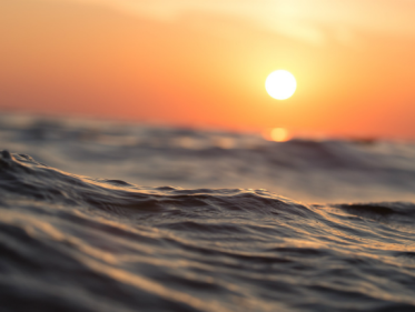 Droogte in Nederland