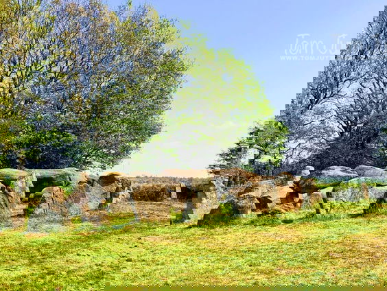 Er moet een walk of fame komen in...Emmen