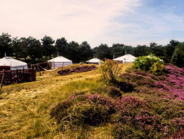 Wonen in een Yurt onder de Texelse sterrenhemel