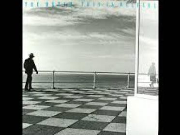 Martin Ouwehand over This is welfare