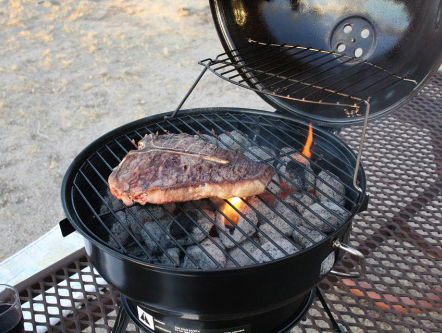 Vandaag mag voor de allerlaatste keer gebarbecued worden in het Vondelpark