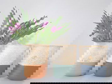 Schimmels vies? Marcel Ellen bouwt er van alles mee