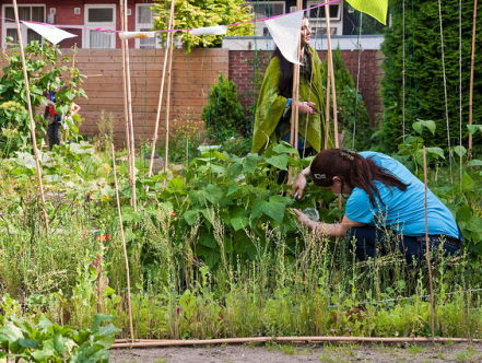 Stoeptegels eruit, groente erin