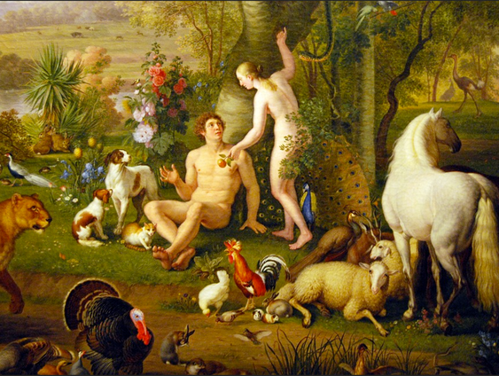 Scheppingsverhaal in een notendop