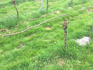 De tuinen van Amstelveen