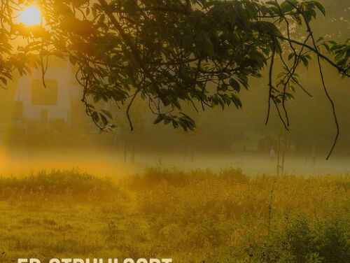 Ed Struijlaart over zijn single De tijd dat alles kon en mocht