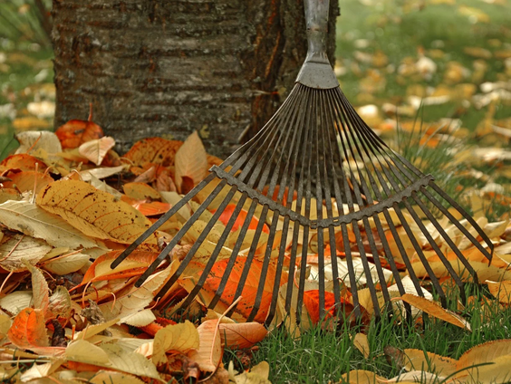 Weg bladblazer, pak de hark!