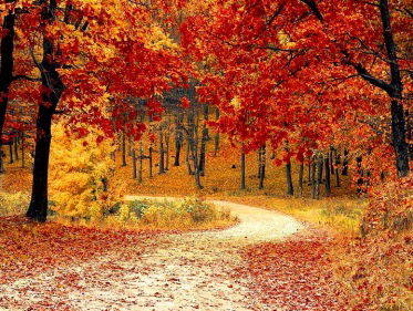 In de herfst van je leven