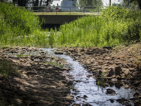 Ook monumenten lijden onder droogte
