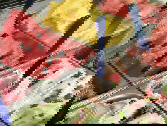 Koelkastcoach Sabine Leijten over IJS!