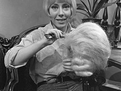 Aan de trapeze - uit Ja Zuster Nee Zuster