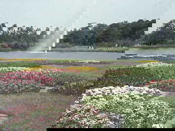 We nemen een kijkje op de Floriade van 1972!