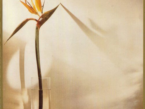 World of water - New Musik