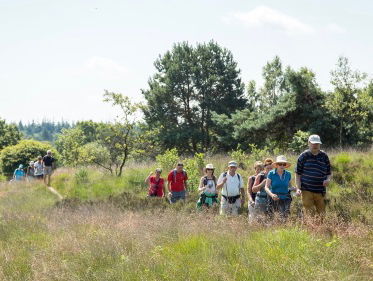 65 jaar wandelvierdaagse Apeldoorn