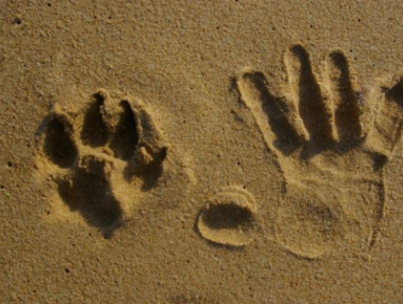 Tom Zoutewelle over ouderdom van de mens