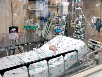 Shevet Achim: Helpen zonder aanziens des persoons