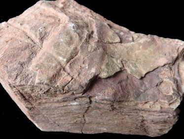 Tom Zoutewelle neemt gesteente mee uit de bodem van de Grand Canyon