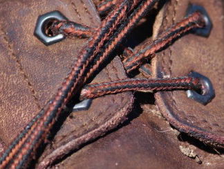 Live update vanaf de Nijmeegse Vierdaagse