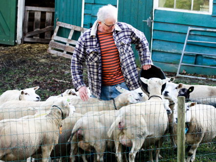 Wat Een Vak: schapenboer
