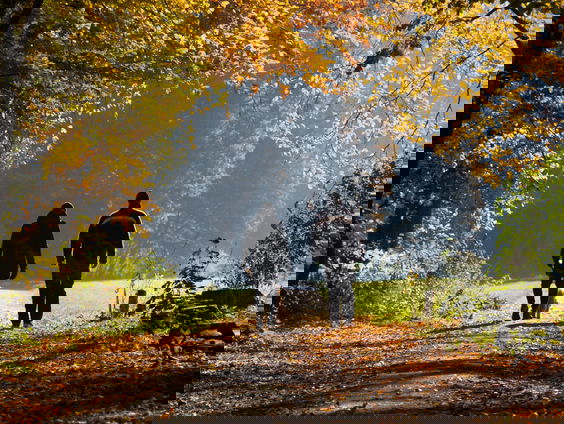 Doke wandelt tijdens de 40-dagentijd met een vreemde!