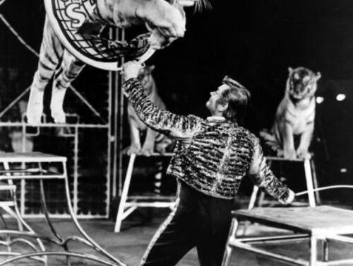 Circusartiesten in de jaren 70