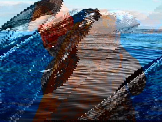 De Brabantse Juul verhuisde speciaal voor de fantastische visstand naar Amsterdam