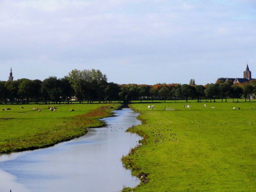 Waarom heeft Nederland een Biblebelt?