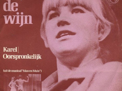 Elsje de Wijn over de hit 'Karel'