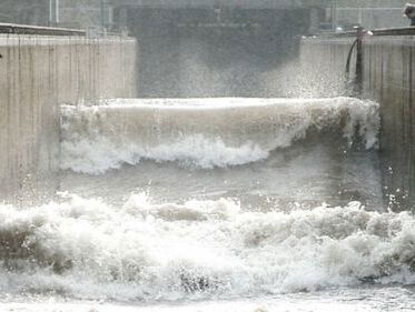 'Het Waterloopbos', verleden en heden van een bijzondere plek