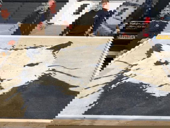 Grootste Banksy ooit in Zwols veilinghuis onder de hamer!