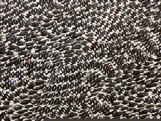 Elly Deurloo maakt kunstwerken met de schelpen van mosselen!