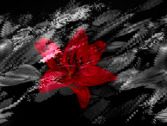 Laat de liefde zijn werk doen