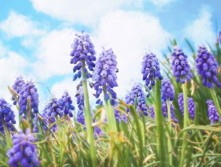 Peter de Koning over zijn 'T Is altijd lente in de ogen van de tandartsassistente