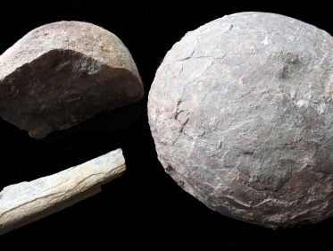 Tom Zoutewelle neemt een ei en botten mee van een dinosauriër