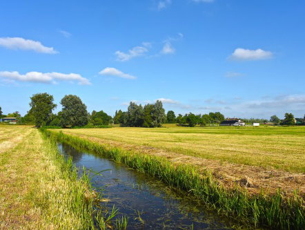 Moeten we alert zijn als we in natuurwater gaan zwemmen door blauwalg?