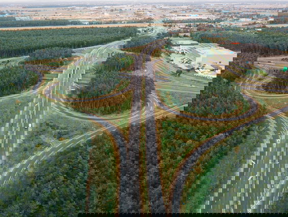 Klavertje vier brengt niet altijd geluk