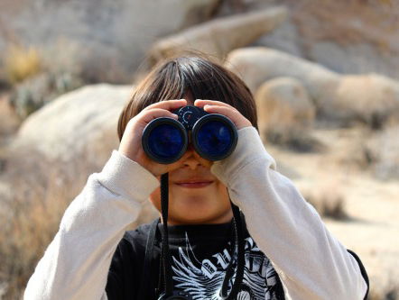 De kraanvogel is gespot: het wordt dus lente