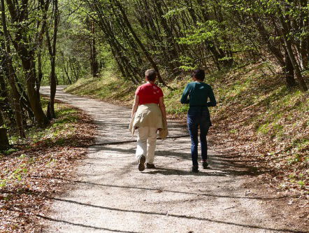 Uitbuikwandelingen door het hele land