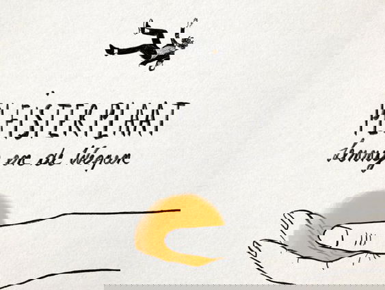 Lennaert Maes over zijn nieuwe album Pleisterplaat