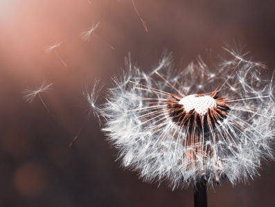 "Mijn primaire doel is rust brengen"