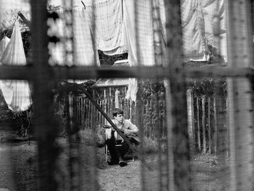 Jenny Wren - Paul McCartney